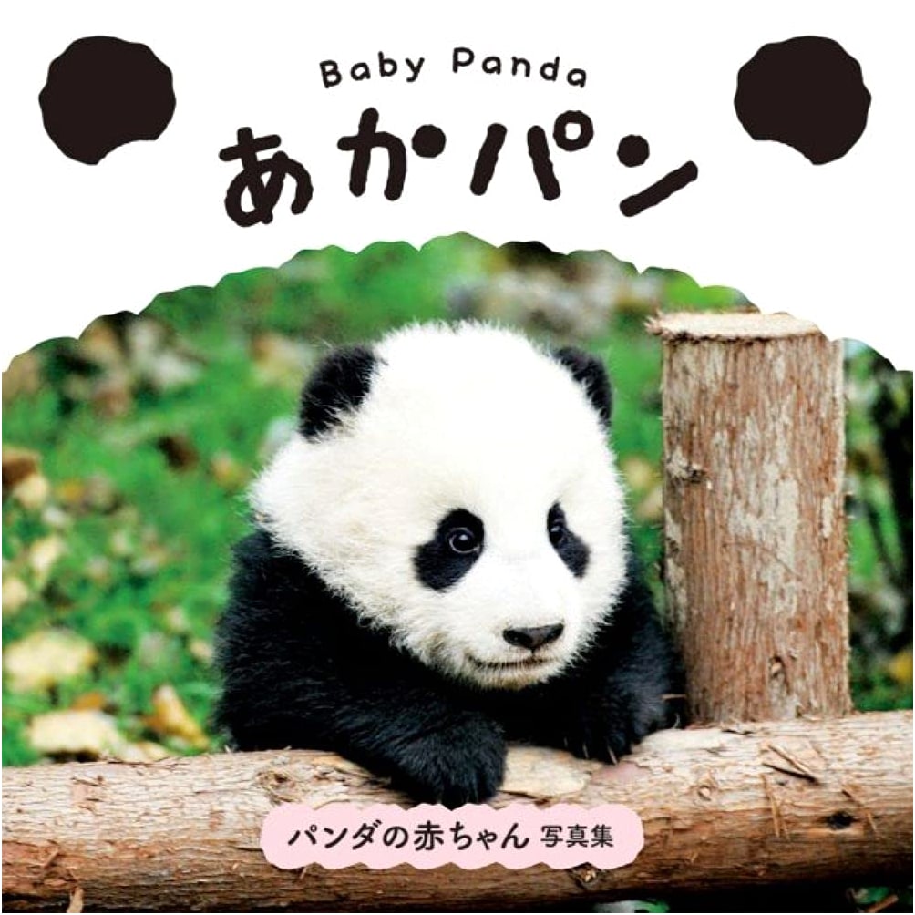 Baby Panda: Akapan