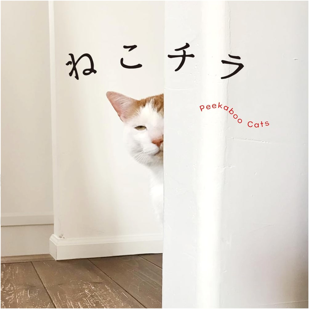 A Peeking Cat: Glimpses of Feline Charm