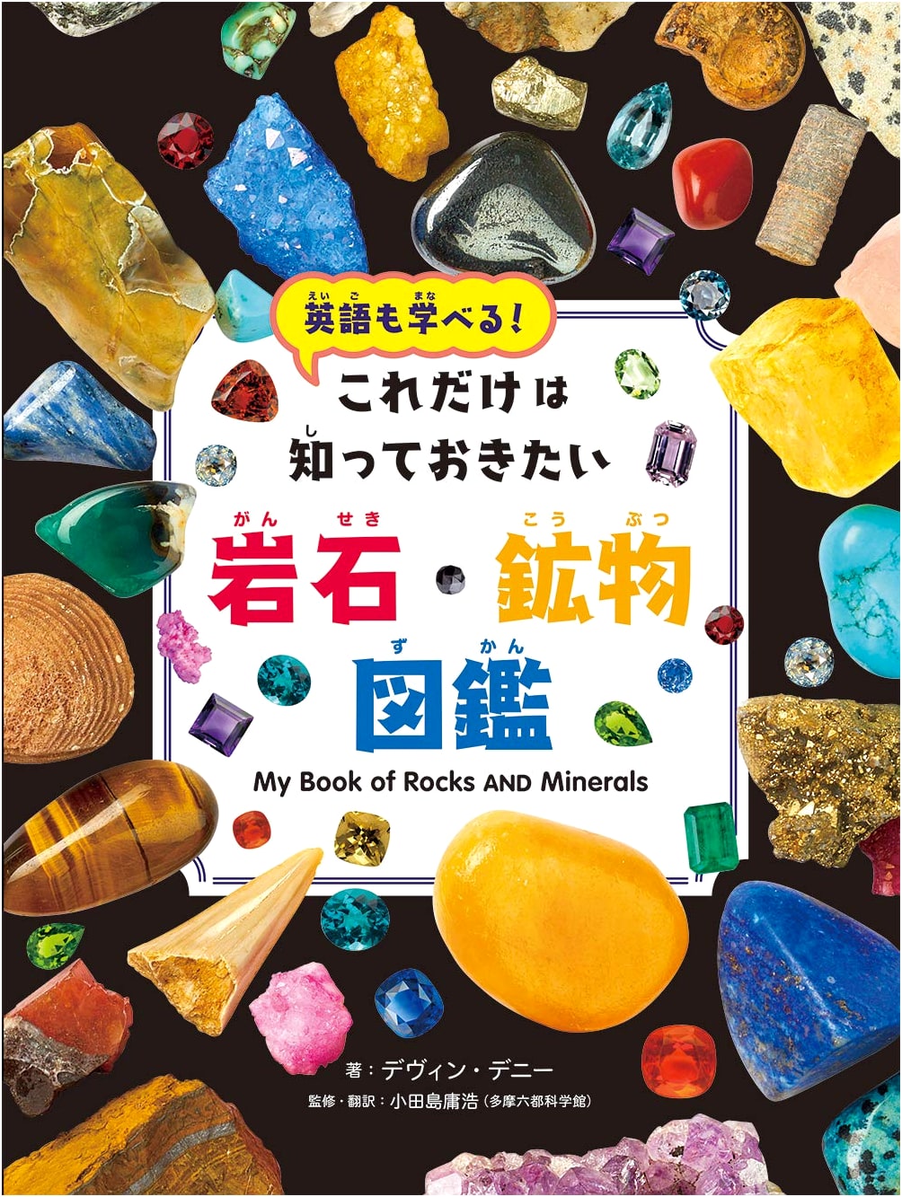 The Concise Illustrated Guide to Rocks and Minerals by Devin Denney