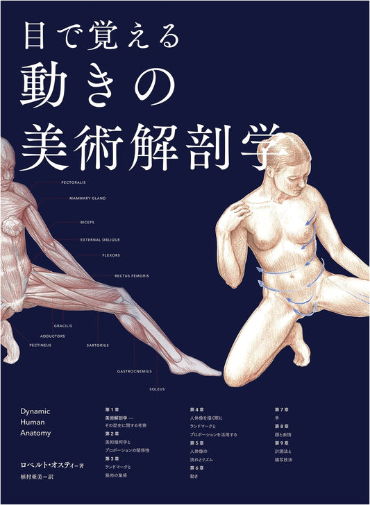 Anatomical Art of Motion: Visually Understanding the Human Form by Roberto Osti