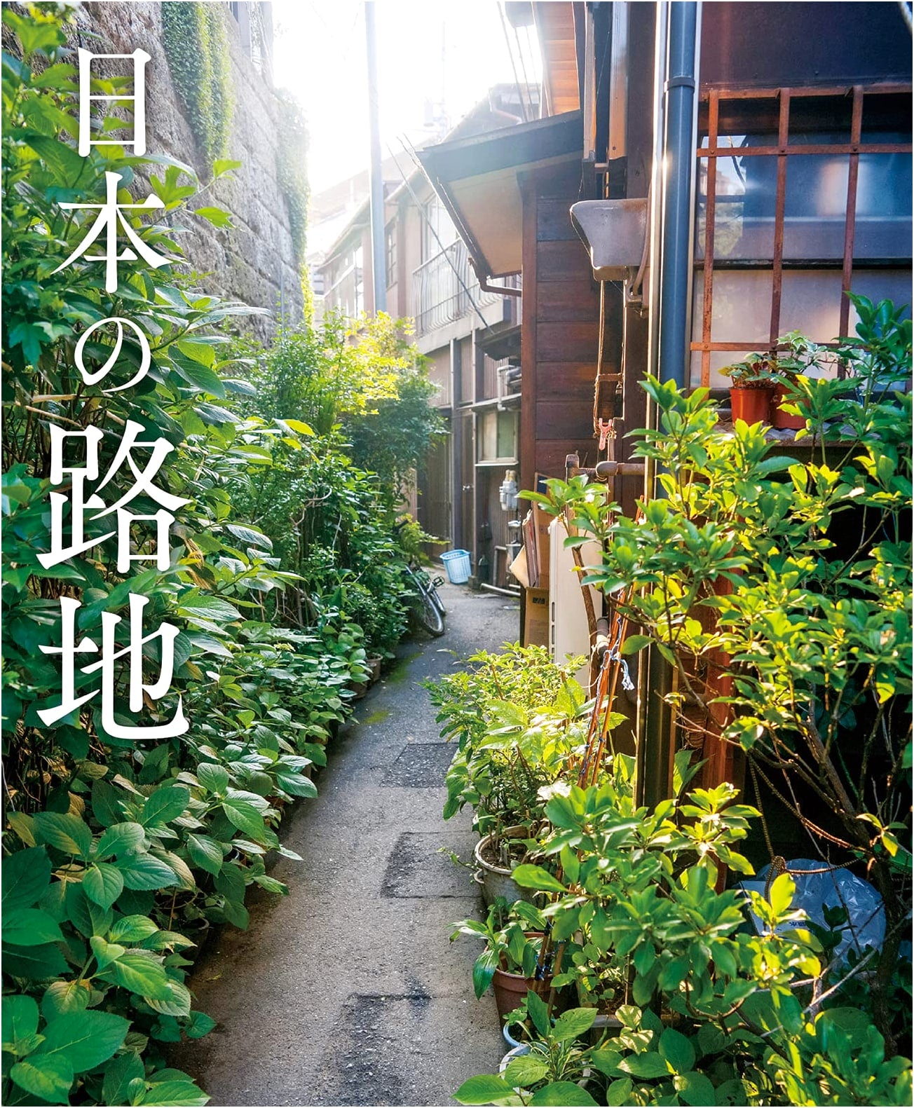 Japan's Alleys: A Photographic Journey