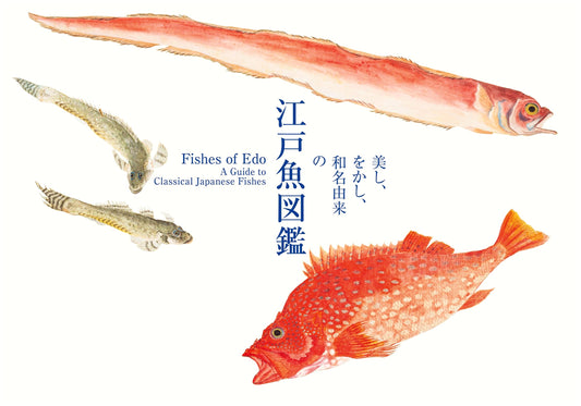 Beautiful, Amusing: An Edo-Era Fish Encyclopedia with Japanese Etymologies by Kazuhiko Tajima