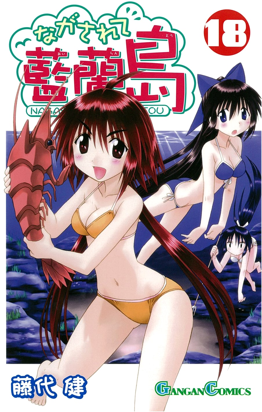 Nagasarete Airantou (Drifting Away to Airantou) Vol. 18 - Gangan Comics