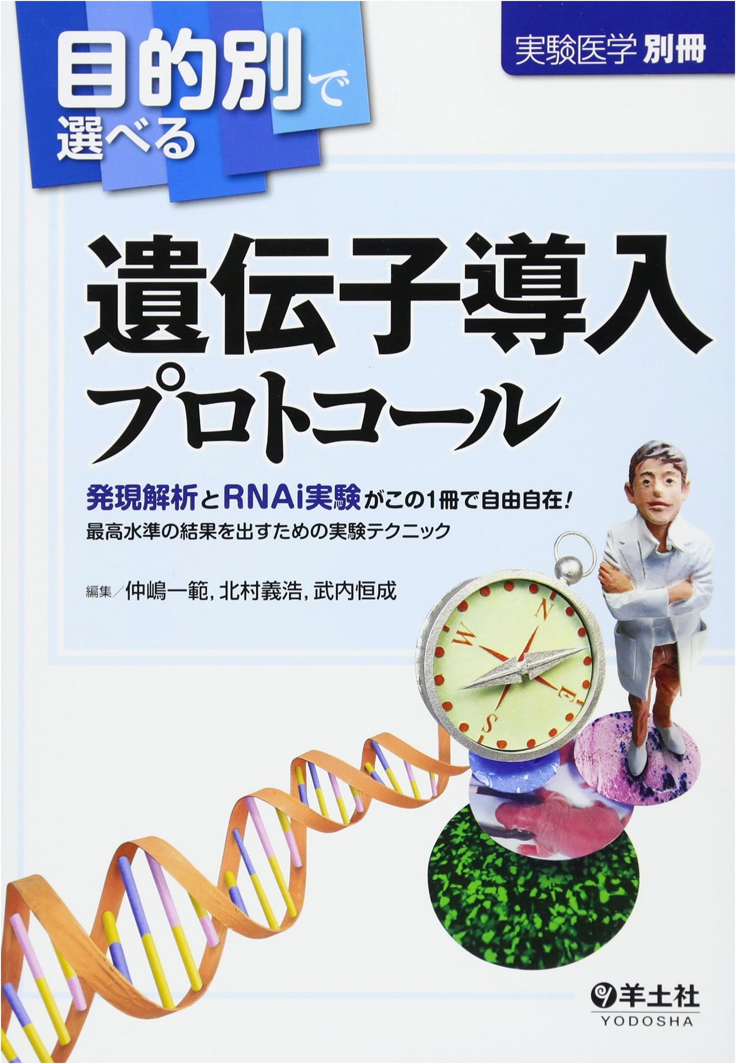 Gene Transfer Protocols: Expression Analysis & RNAi Experiments for Top Results