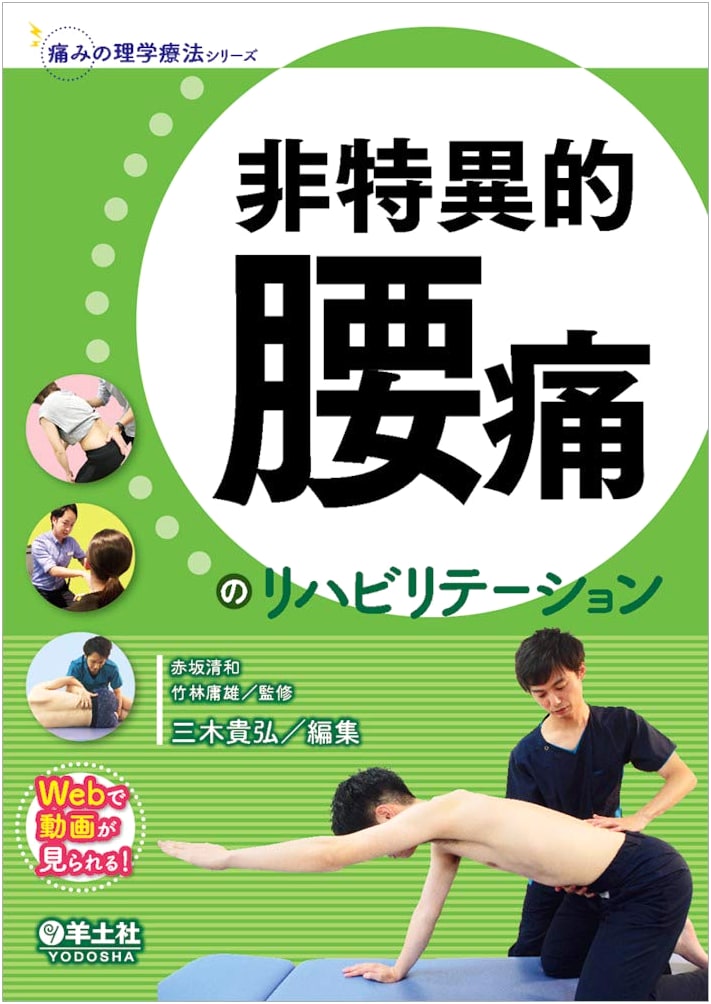 Rehabilitation for Non-Specific Low Back Pain (Pain Physical Therapy Series)