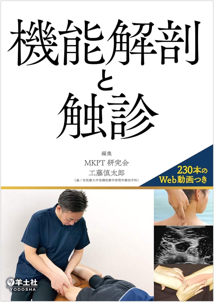 Functional Anatomy and Palpation