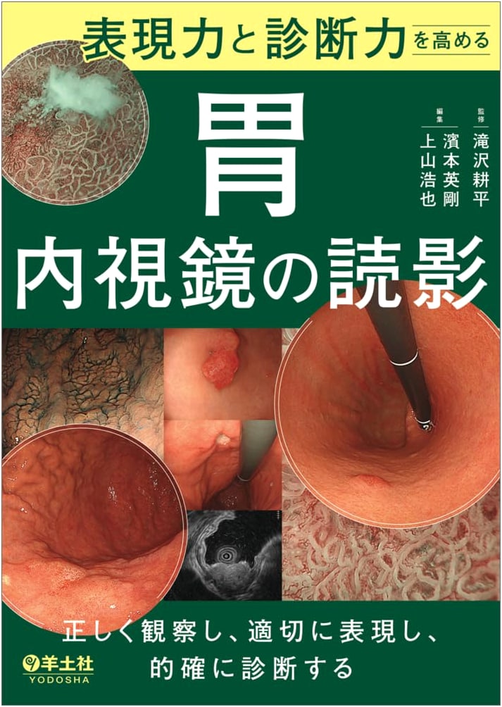 Enhancing Diagnostic Skills: Interpreting Gastric Endoscopy for Accurate Observation