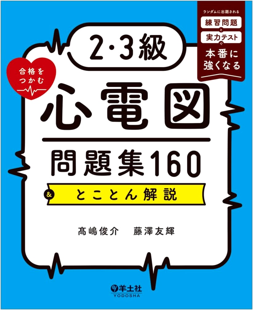 ECG Problem Collection: Ace Your Exam - T. Takashima