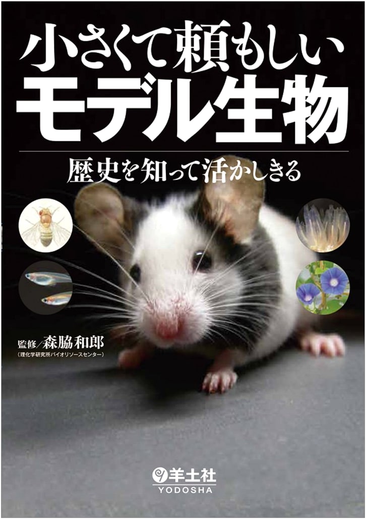 Small But Mighty Model Organisms: Understanding Their History and Maximizing Their Potential