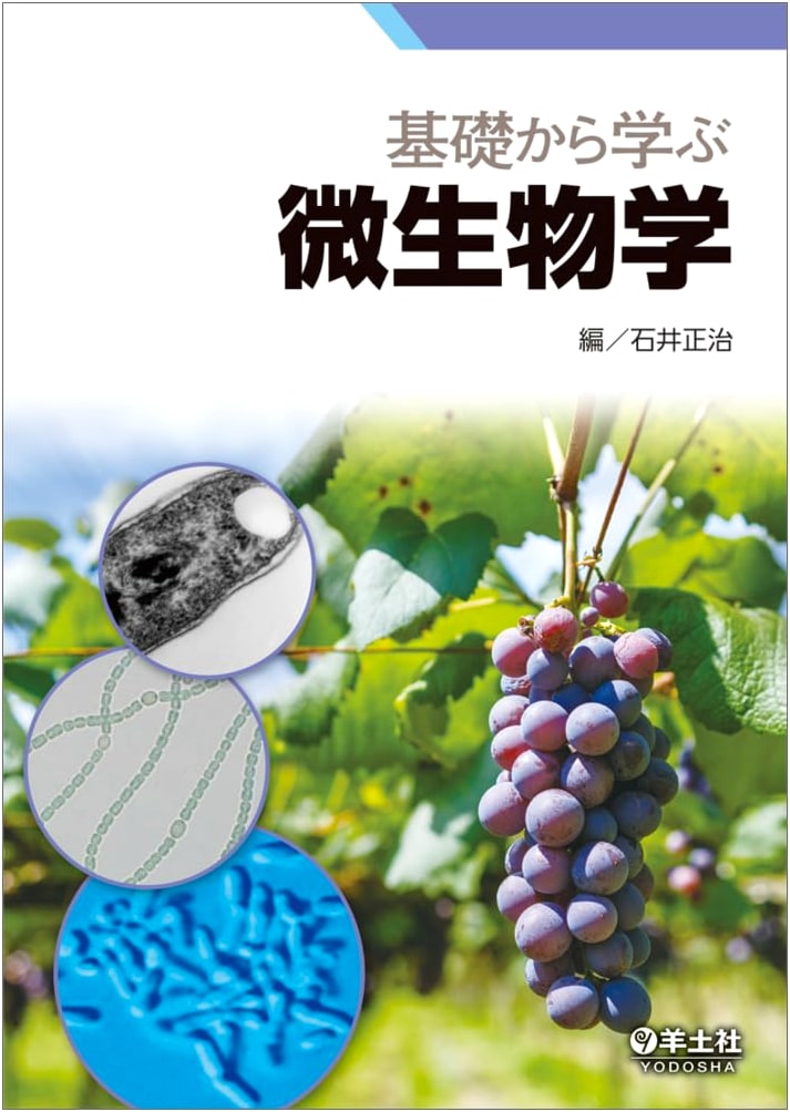 Learning Microbiology from the Fundamentals