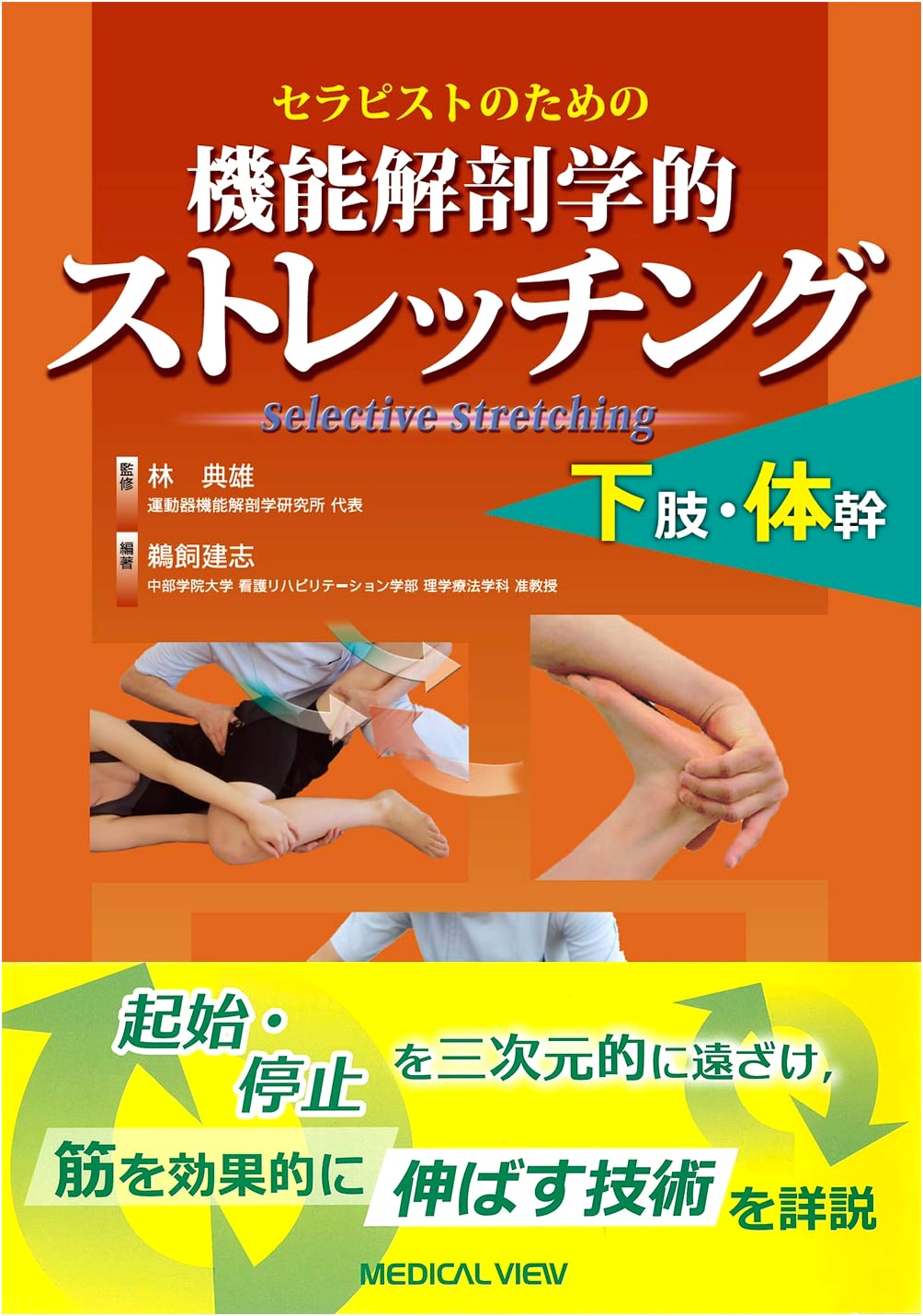 Functional Anatomical Stretching for Therapists: Lower Limbs and Torso