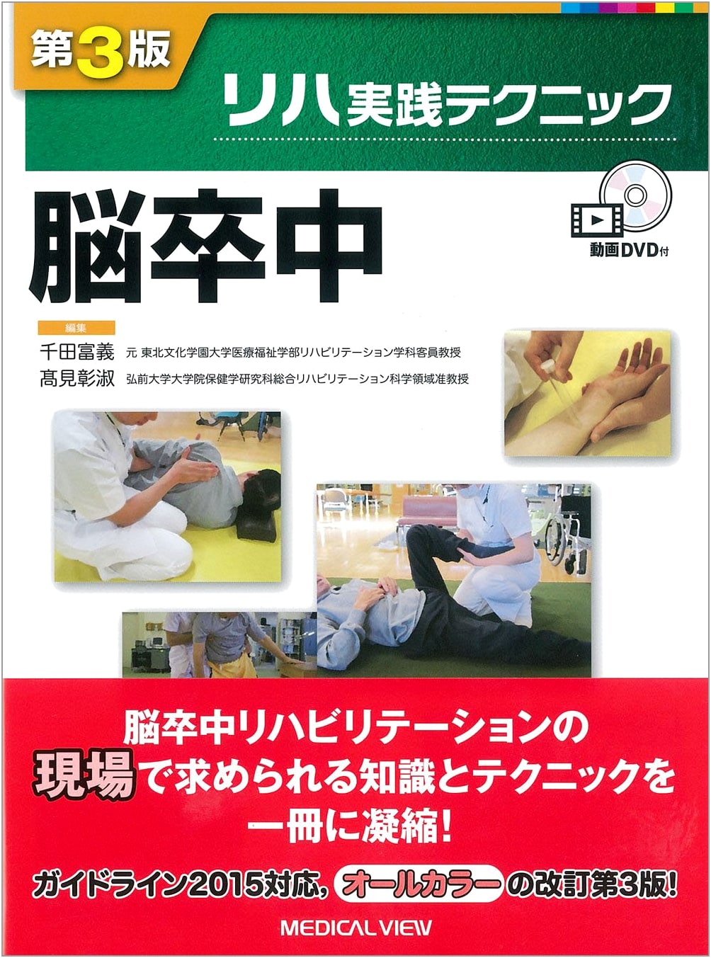 Stroke: Rehabilitation Practice Techniques (3rd Edition)