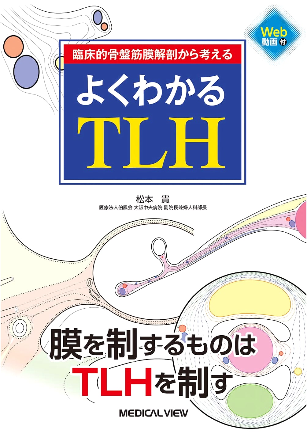 Understanding TLH from a Clinical Anatomical Perspective of the Pelvic Floor