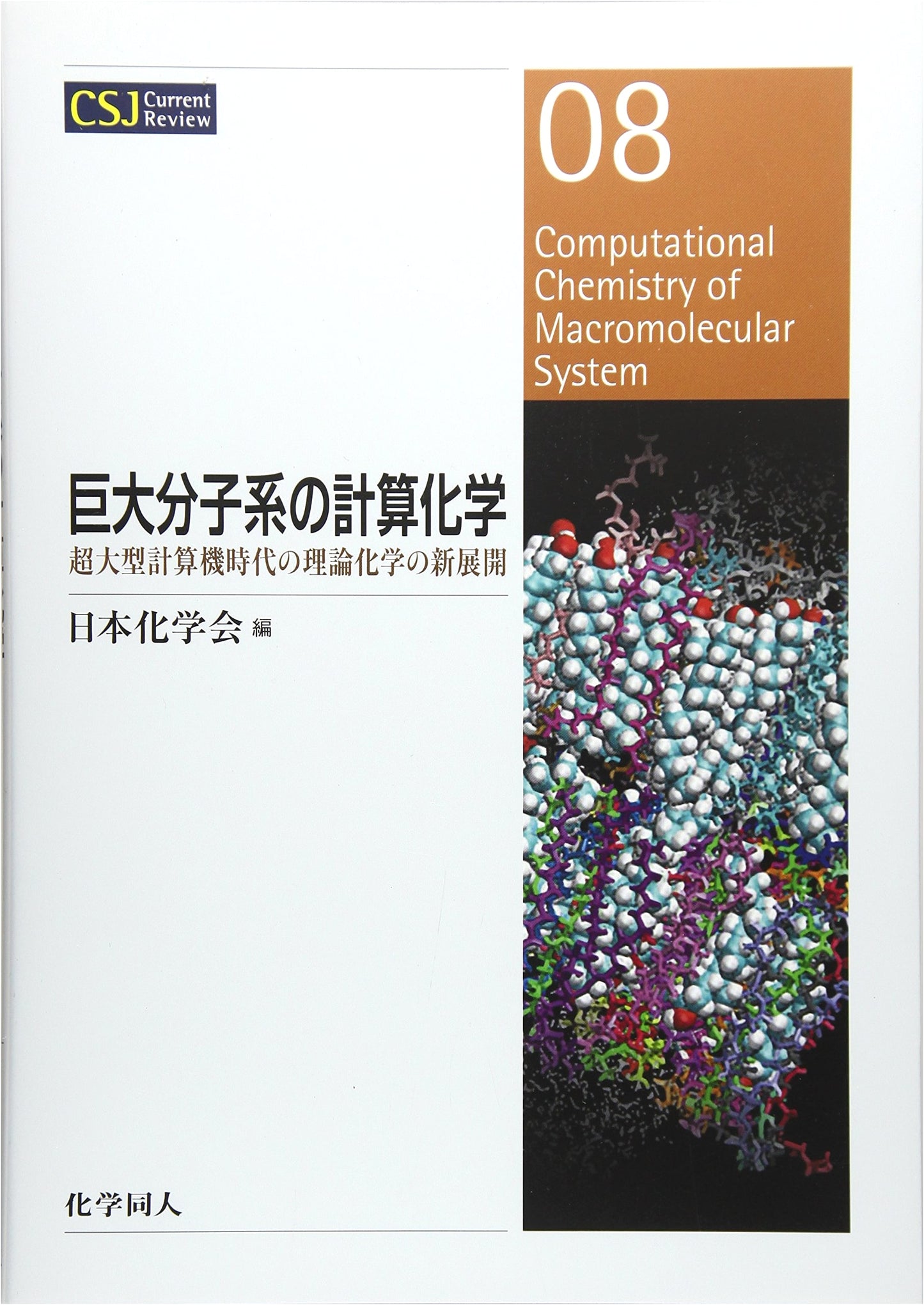 Computational Chemistry of Macromolecular Systems: New Frontiers in Theoretical Chemistry