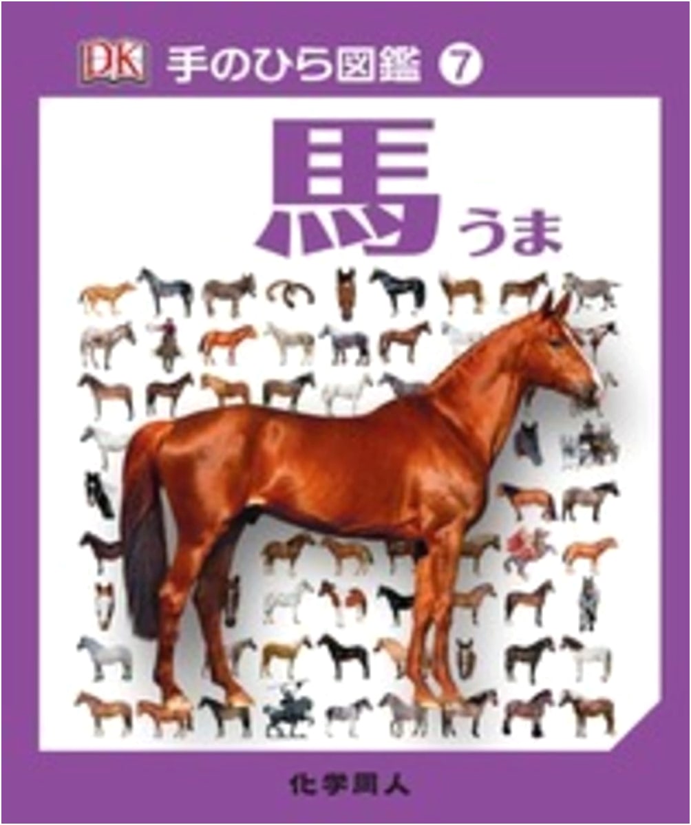 Horses (Palm-Sized Encyclopedia)
