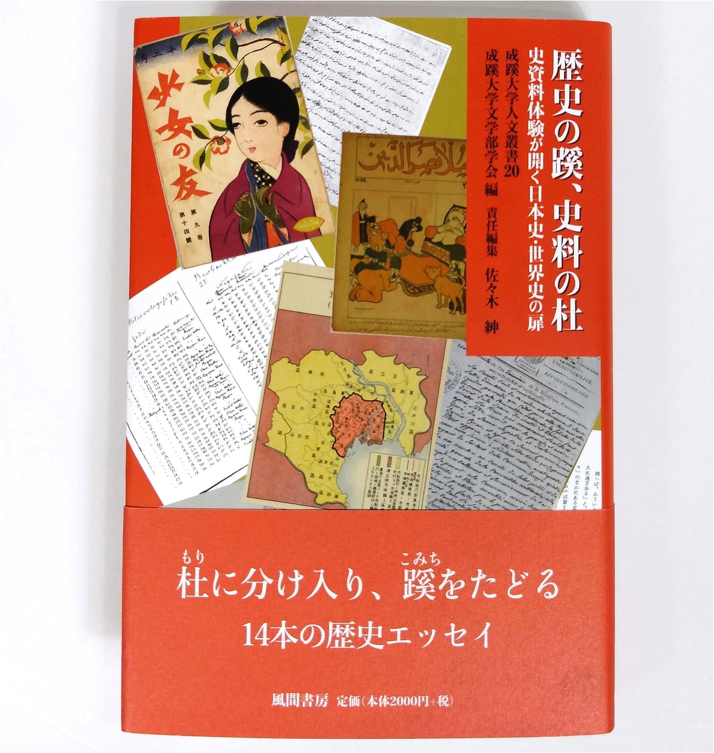 Paths of History, Groves of Historical Materials: Unlocking Japanese and World History (Seikei University Humanities Series 20)