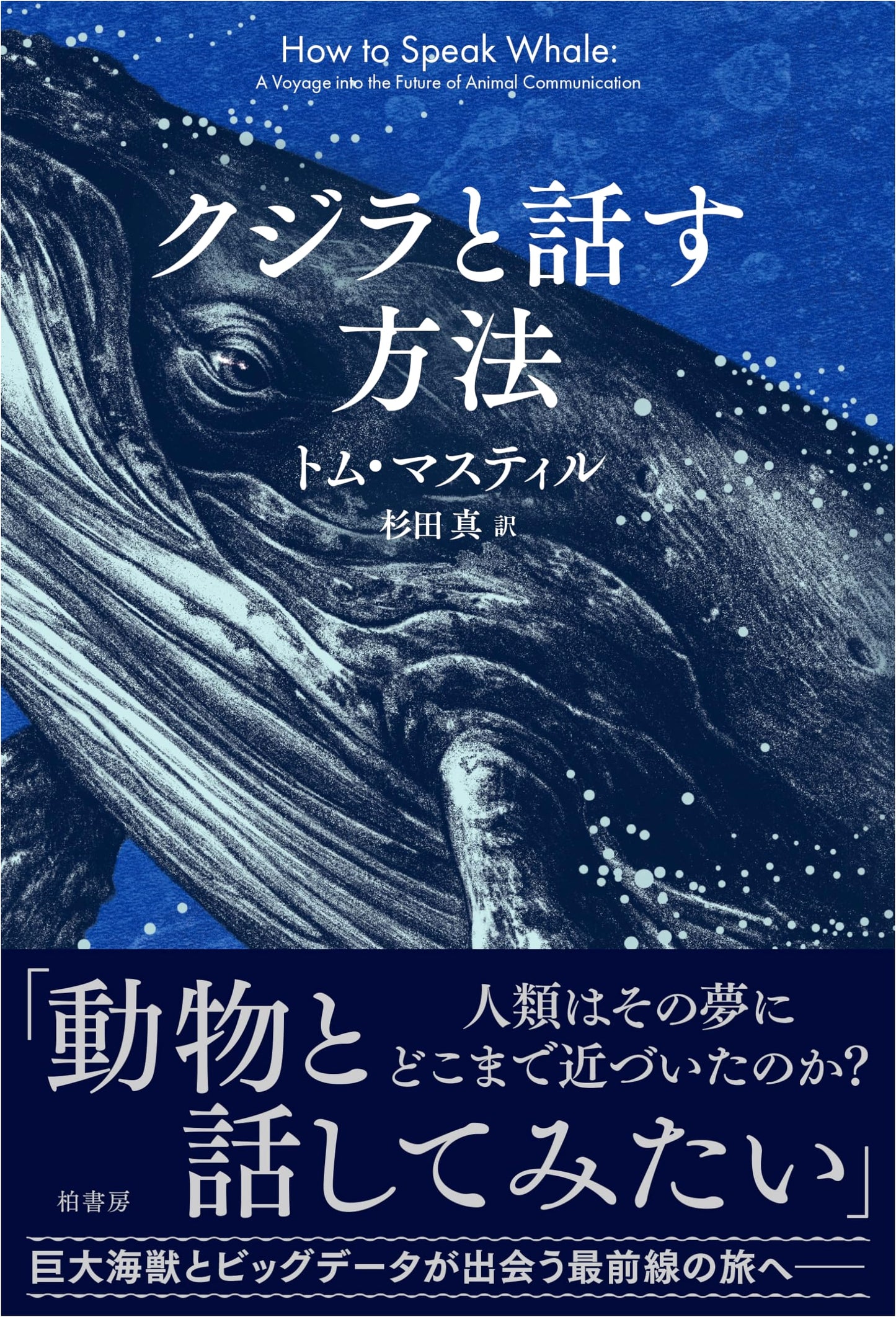 How to Talk to Whales