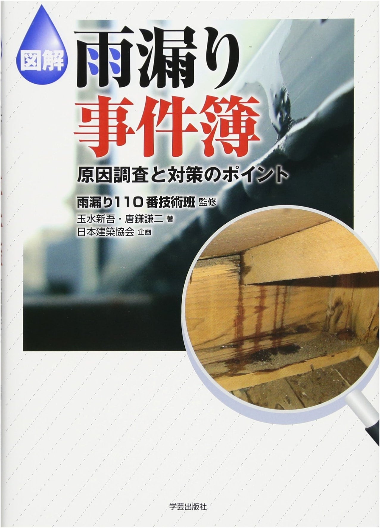 Illustrated Guide to Rain Leak Investigations: Causes and Countermeasures