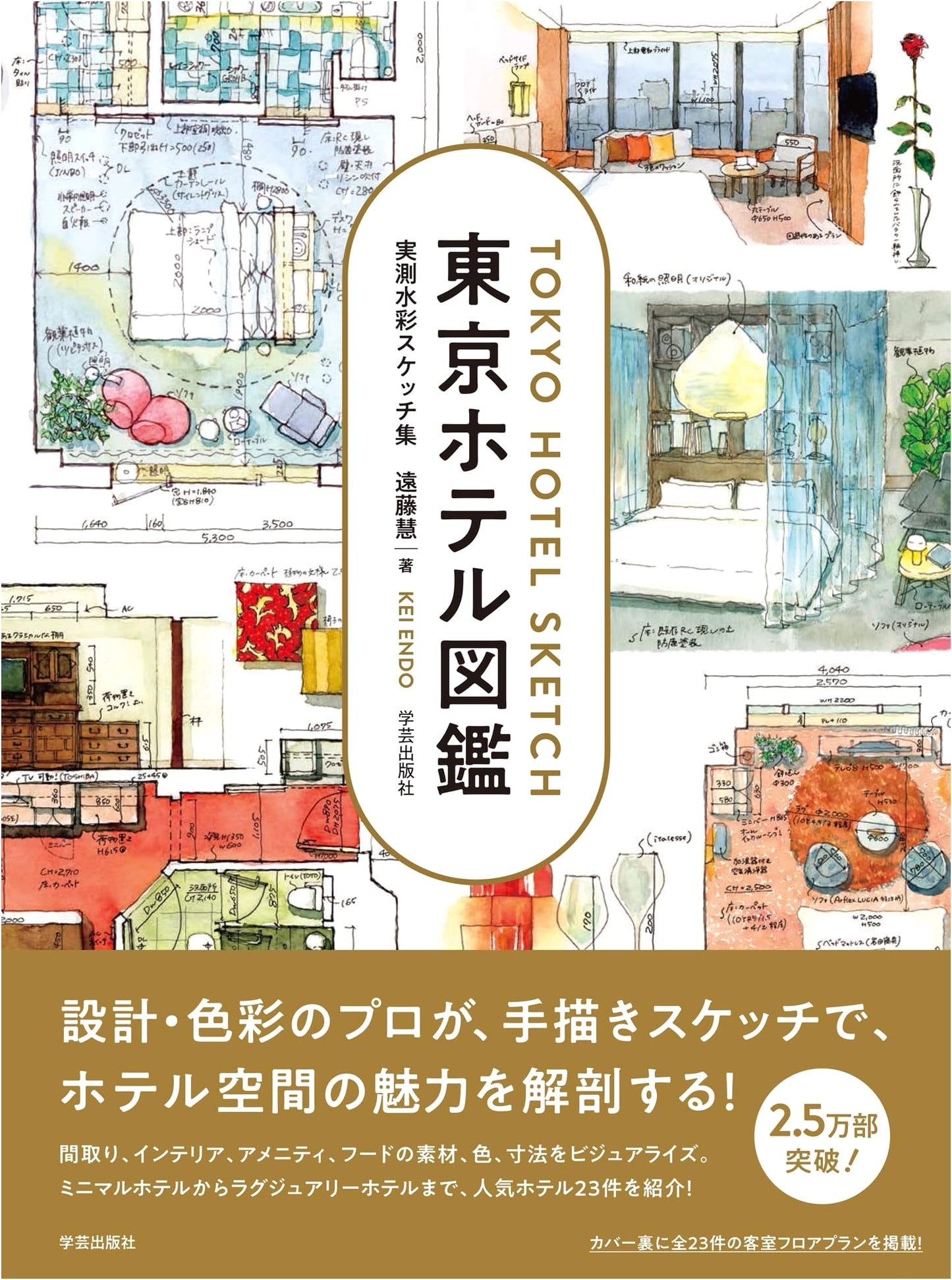 Tokyo Hotel Visual Guide: A Collection of Measured Watercolor Sketches