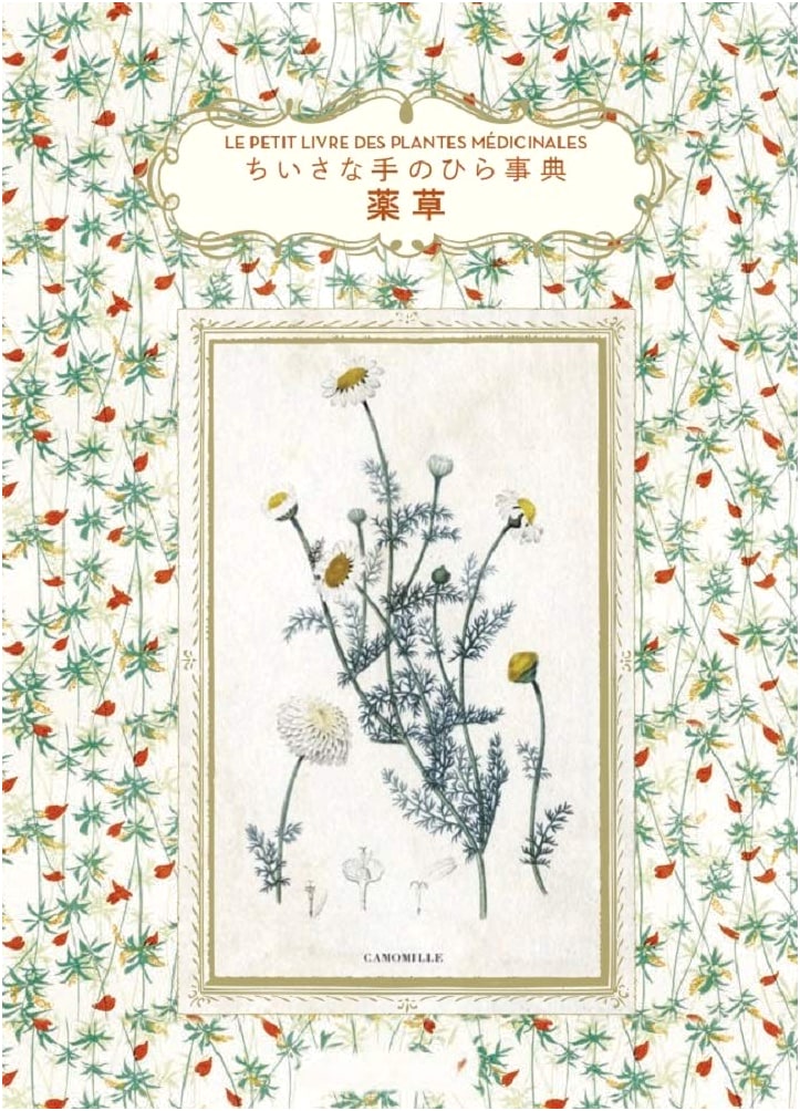 Medicinal Herbs: A Little Palm Encyclopedia