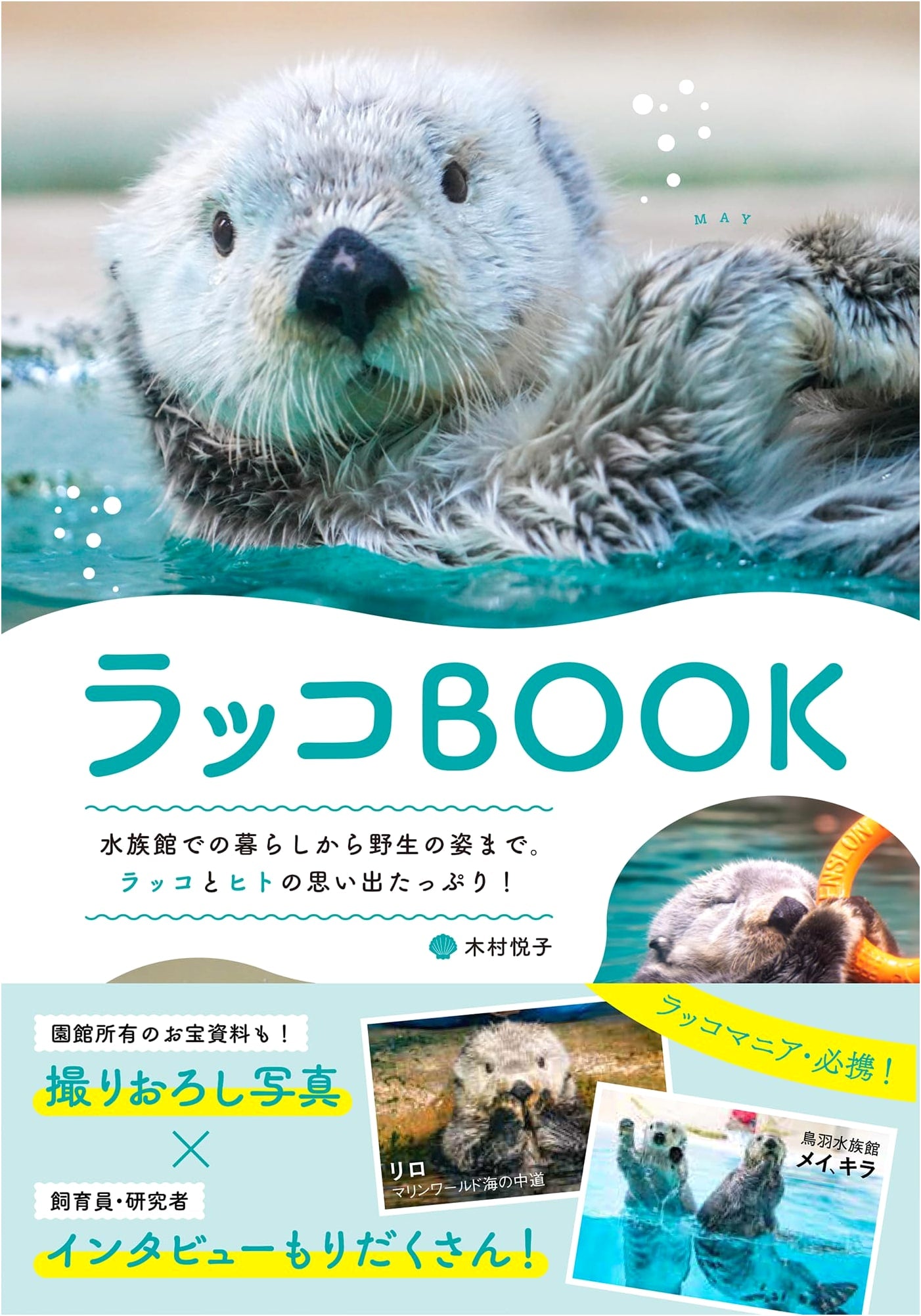 Sea Otter BOOK