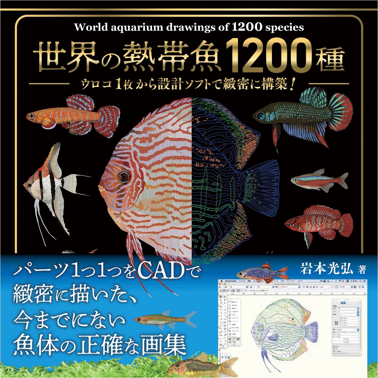1200 Species of Tropical Fish from Around the World: Meticulously Designed from a Single Scale