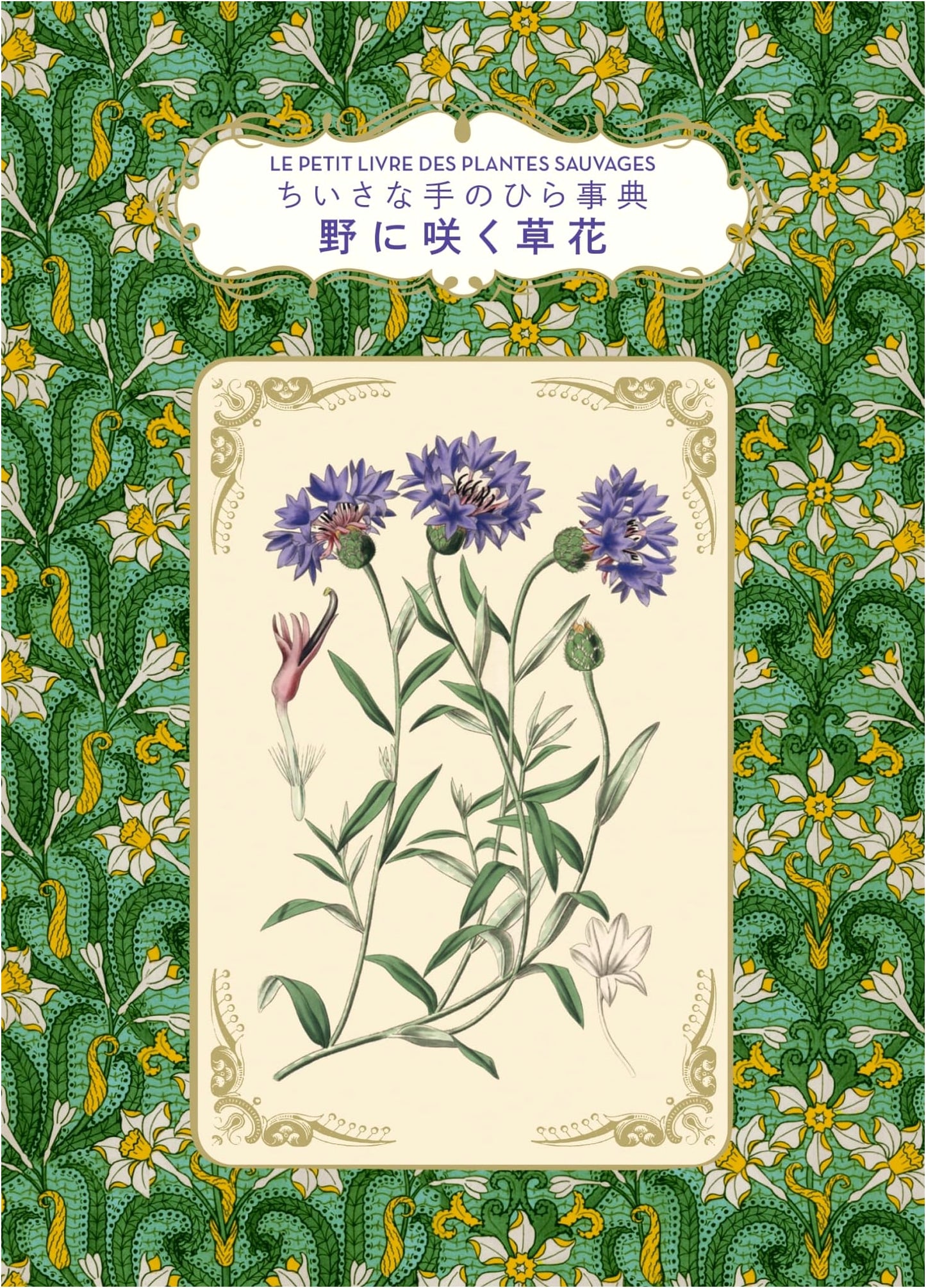 Wildflowers (Little Palm Encyclopedia)