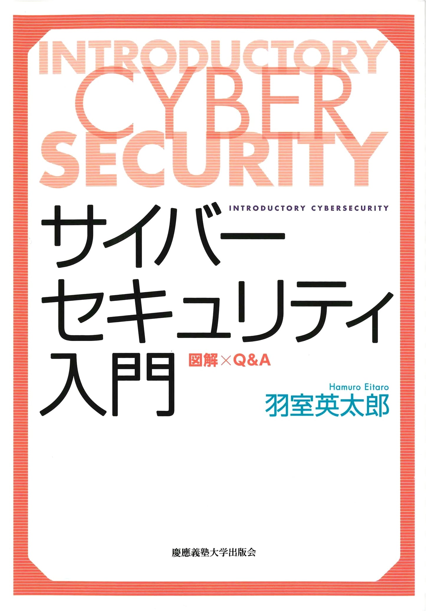 Introduction to Cybersecurity: Illustrated Q&A