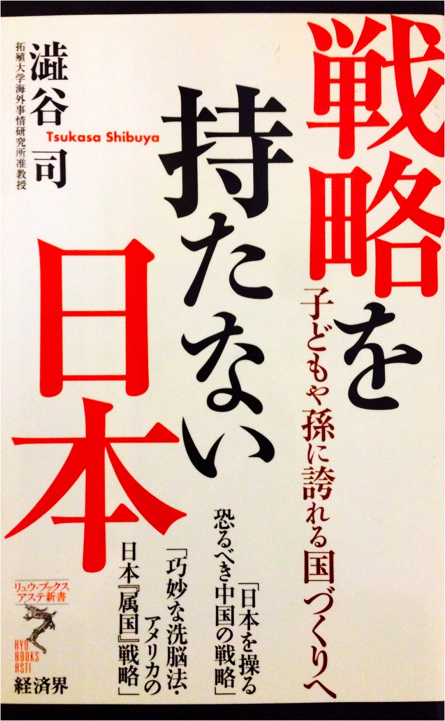 Japan Without a Strategy: Building a Nation Our Children and Grandchildren Can Be Proud Of