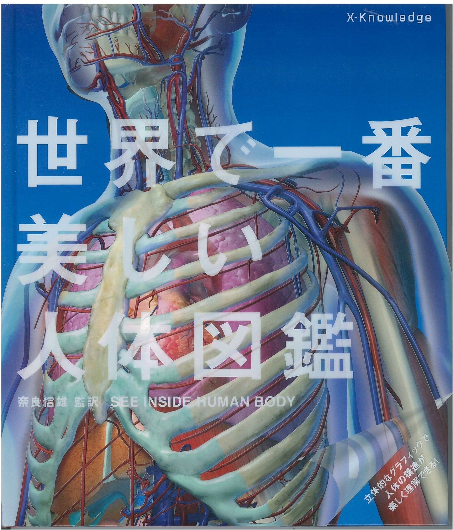 The World's Most Beautiful Human Anatomy Illustrated Book