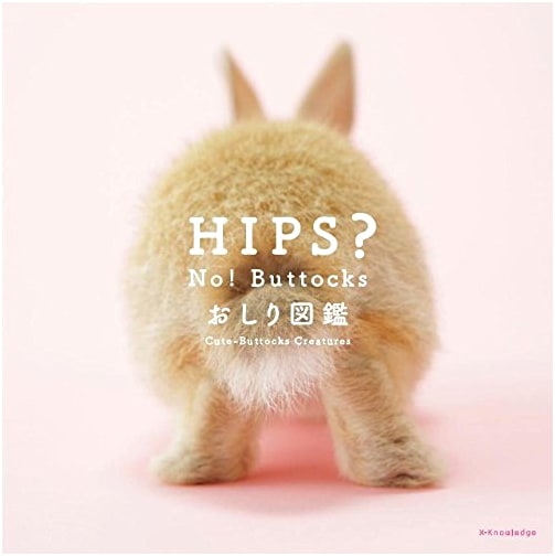 HIPS? No! Buttocks: An Illustrated Guide to the Human Posterior