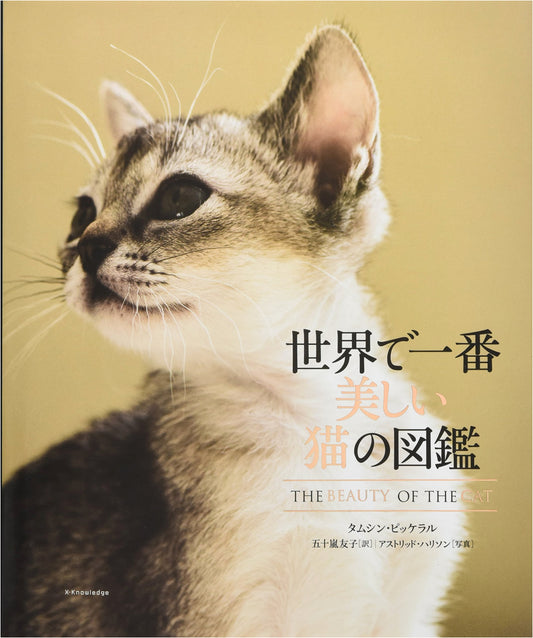 The World's Most Beautiful Cat Encyclopedia