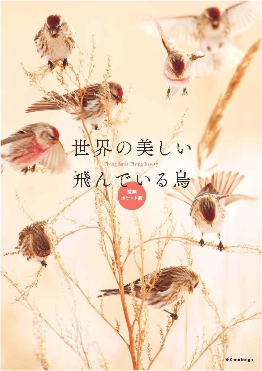 Beautiful Flying Birds of the World: Collector's Pocket Edition