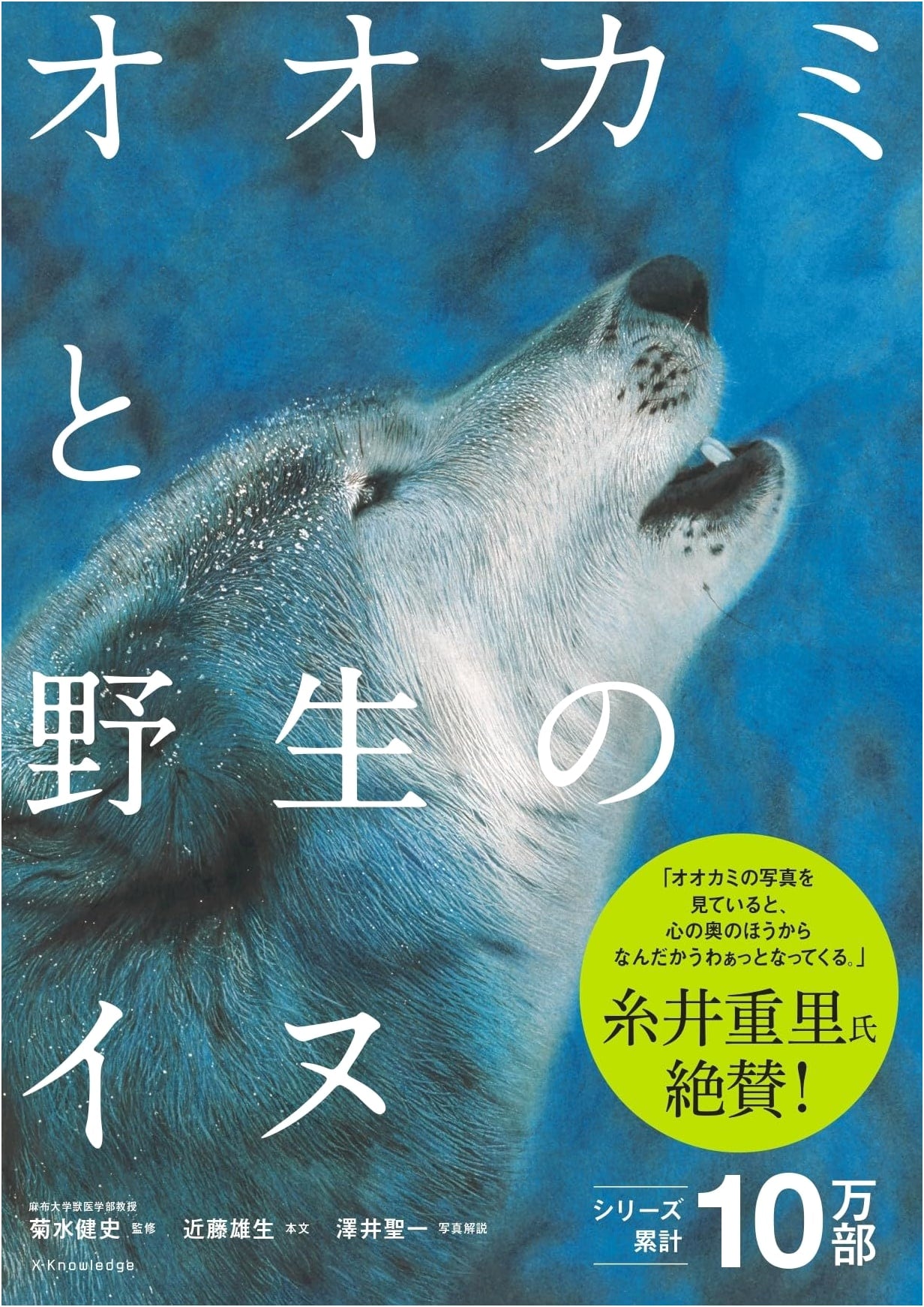 Wolves and Wild Dogs