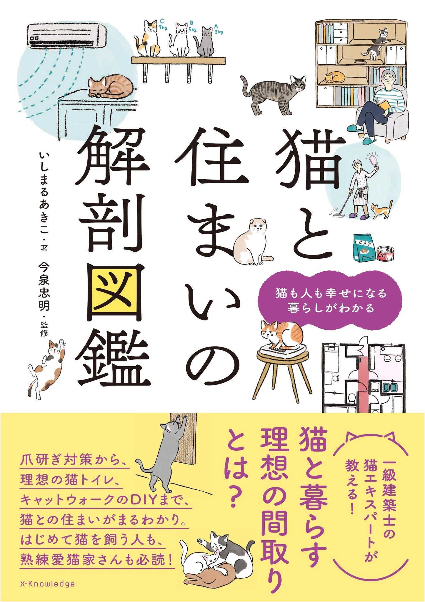 The Illustrated Guide to Cat Anatomy and Living Spaces