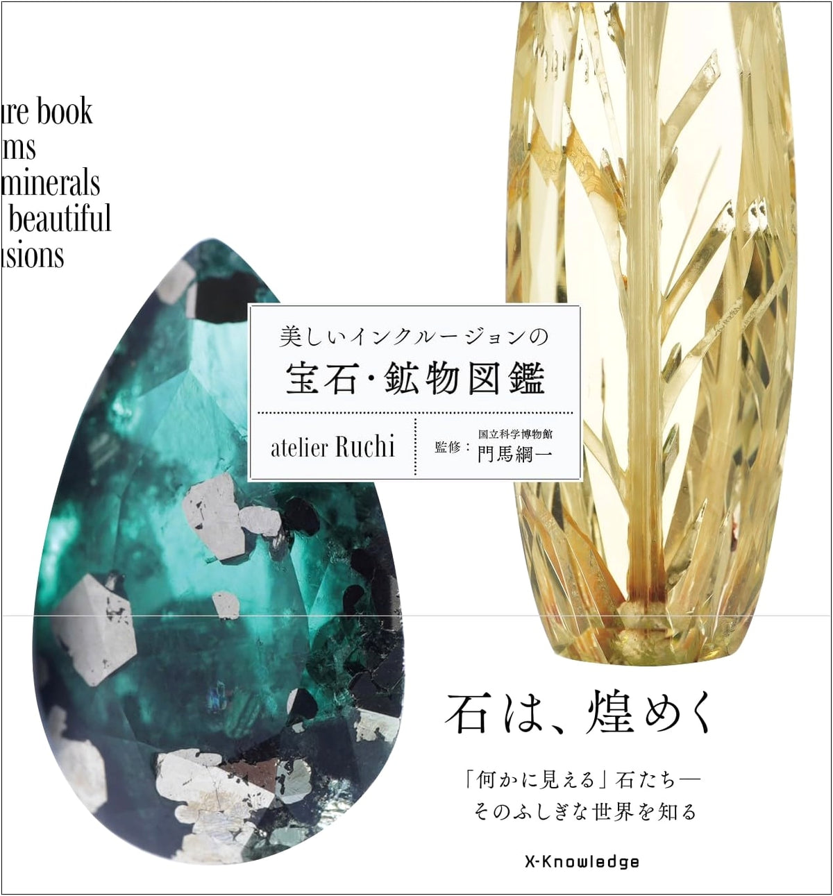Beautiful Inclusion Gem & Mineral Encyclopedia
