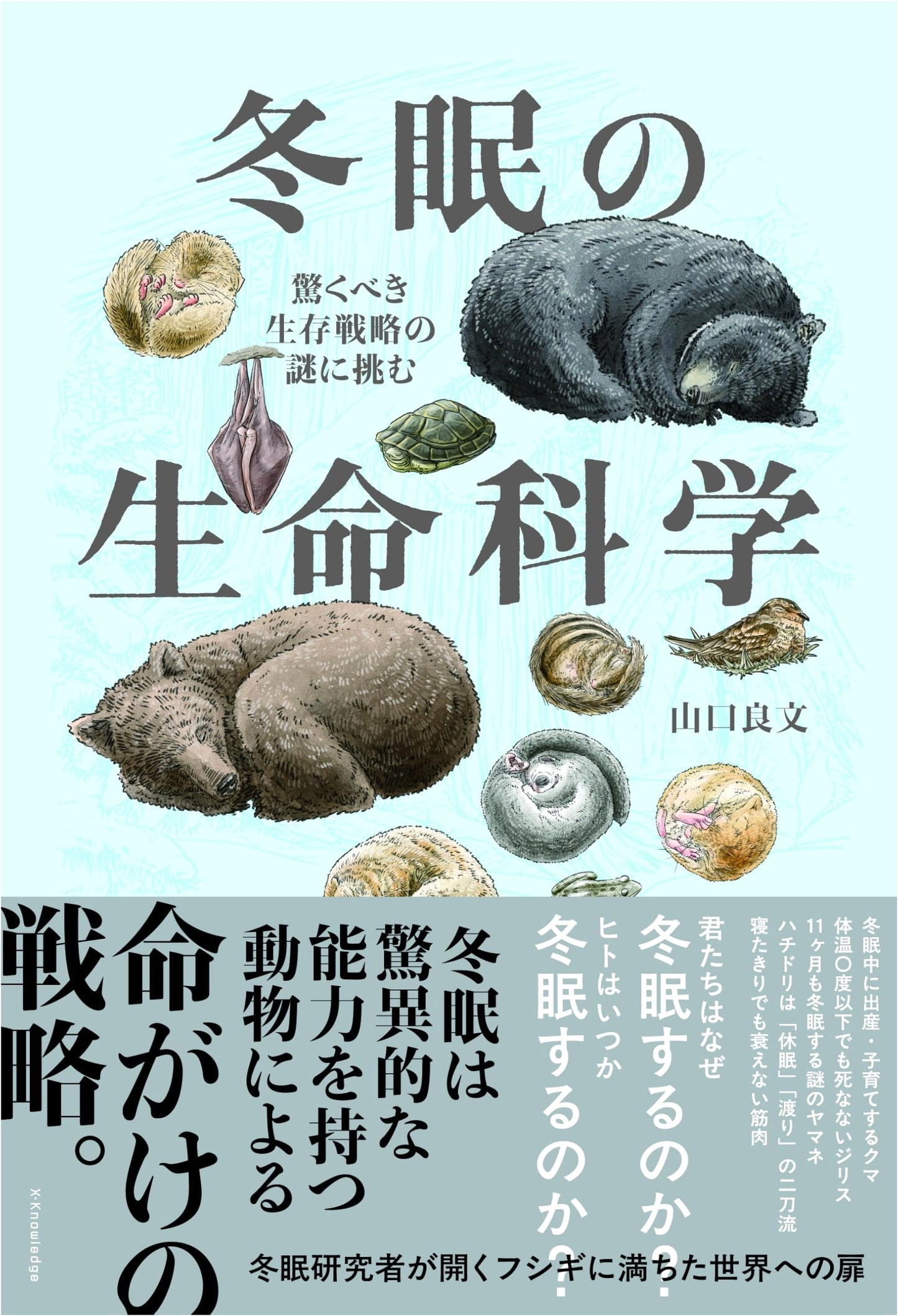 Hibernation: The Science of Suspended Animation by Yoshifumi Yamaguchi