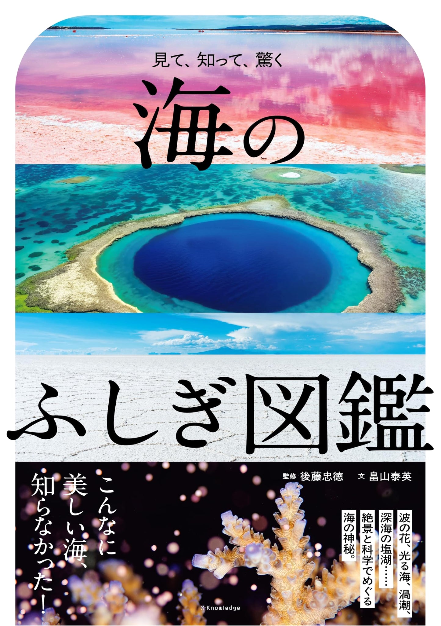 Illustrated Guide to the Wonders of the Sea