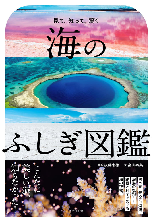Illustrated Guide to the Wonders of the Sea