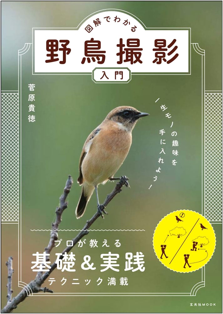 Illustrated Guide to Wild Bird Photography: A Beginner's Introduction