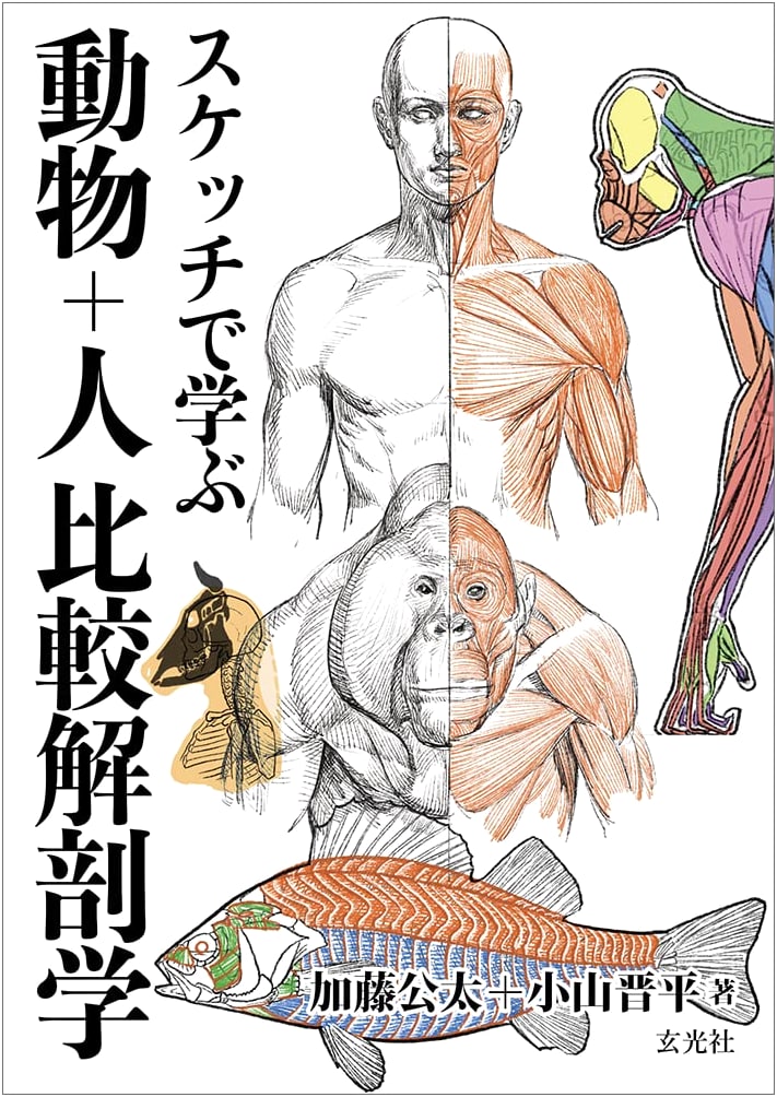 Comparative Anatomy of Animals and Humans: A Sketch-Based Learning Guide