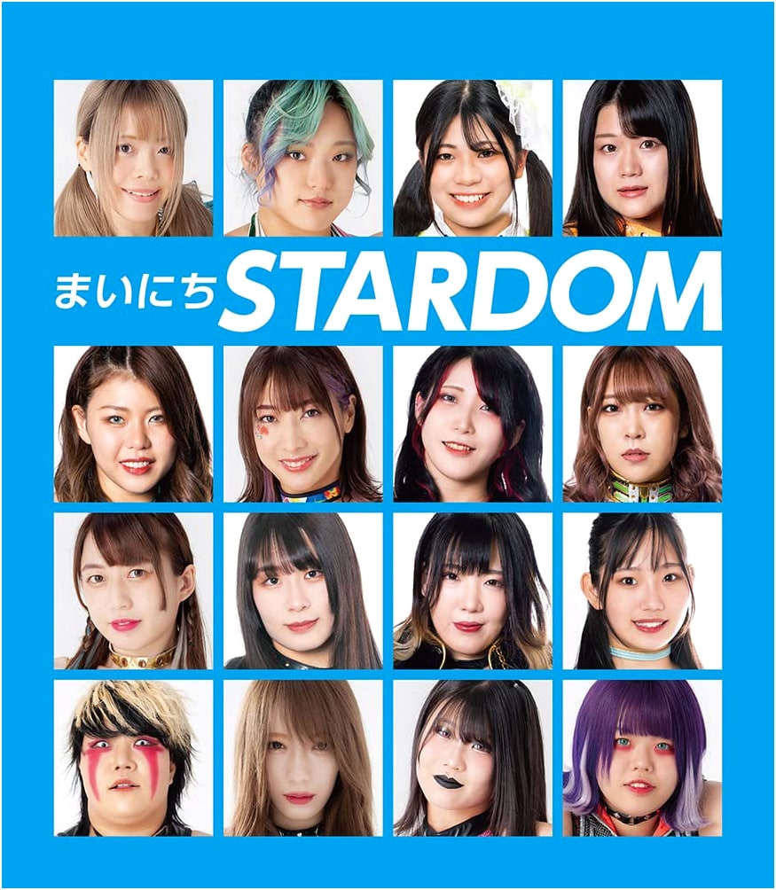 Every Day STARDOM: A Practical Guide to Japanese Women's Professional Wrestling