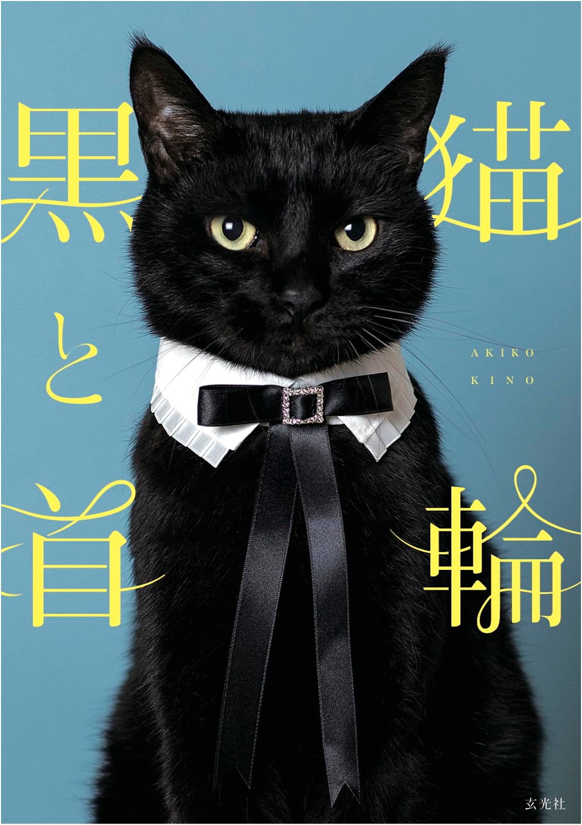 The Black Cat and the Collar