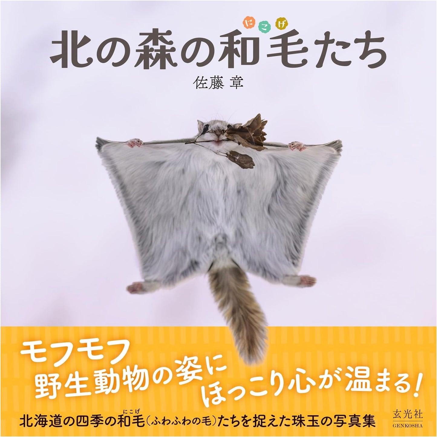 Fuzzy Creatures of the Northern Forest
