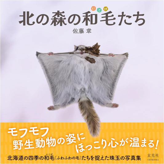 Fuzzy Creatures of the Northern Forest