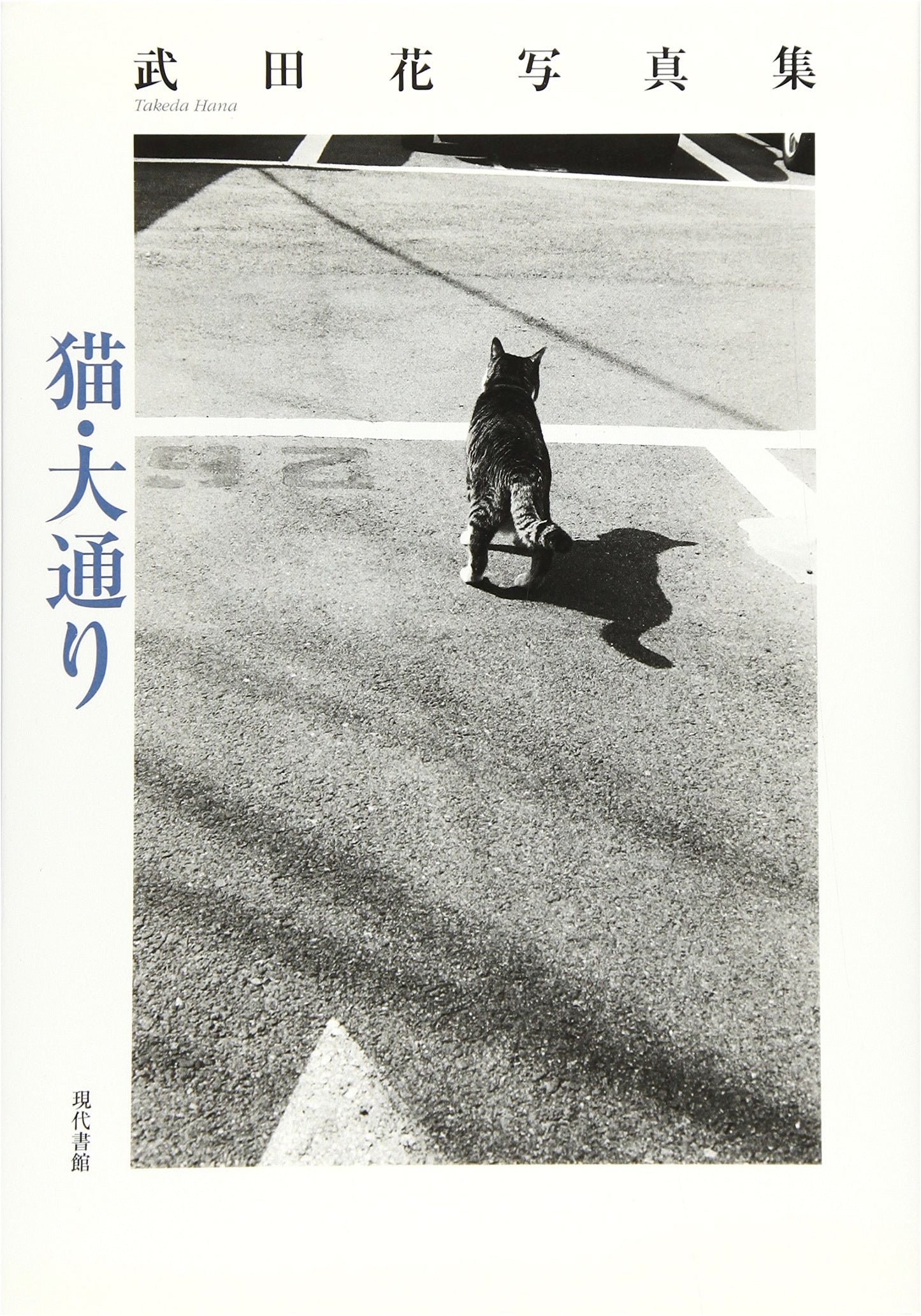 Cat Avenue: Hana Takeda Photography