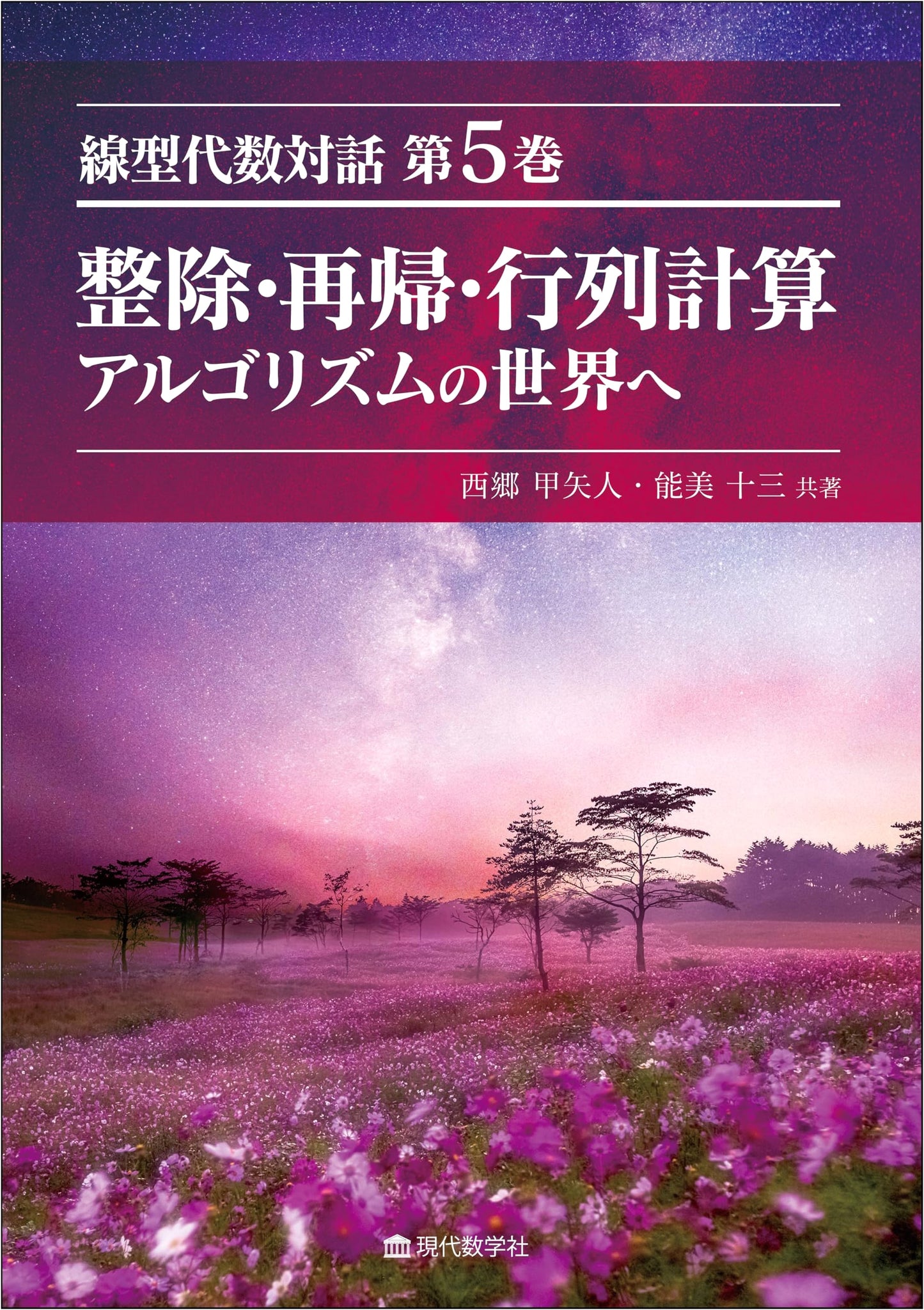 Linear Algebra Dialogue, Vol. 5: Divisibility, Recursion, Matrix Computation & Algorithms