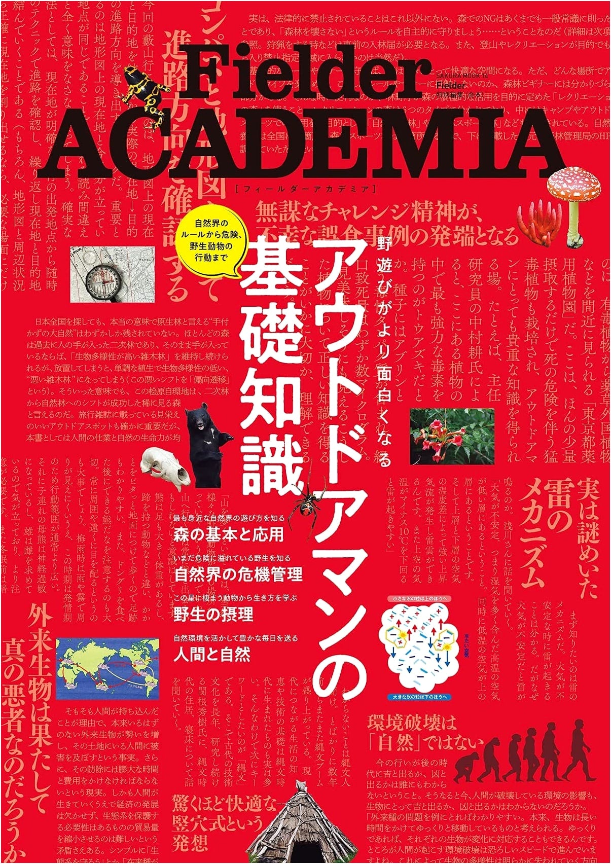Fielder ACADEMIA (Sakura Mook)