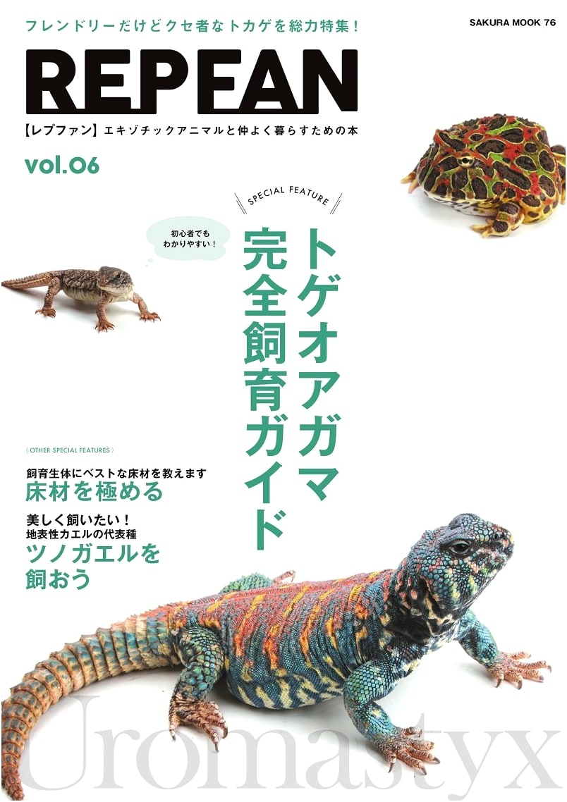 Rep Fan Vol. 6 (Sakura Mook)