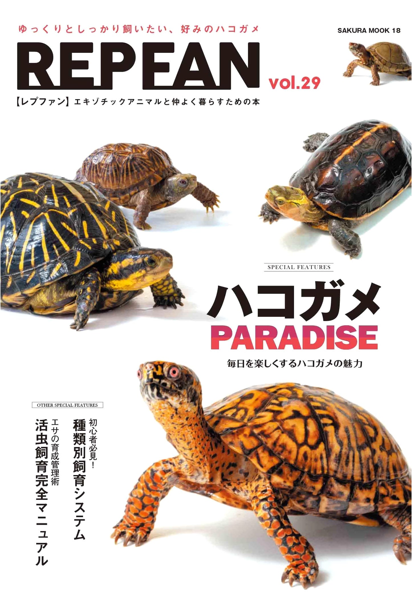 REP FAN Vol. 29 (Sakura Mook)